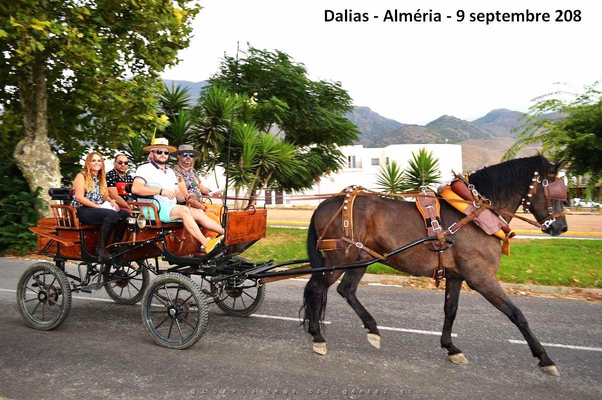 03 ALMERIA PROMENADE VERS DALIAS (3).JPG